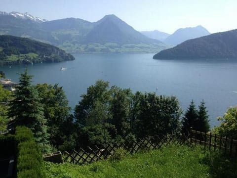 Mätzli