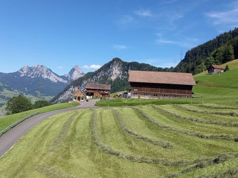 Biohof Langberg