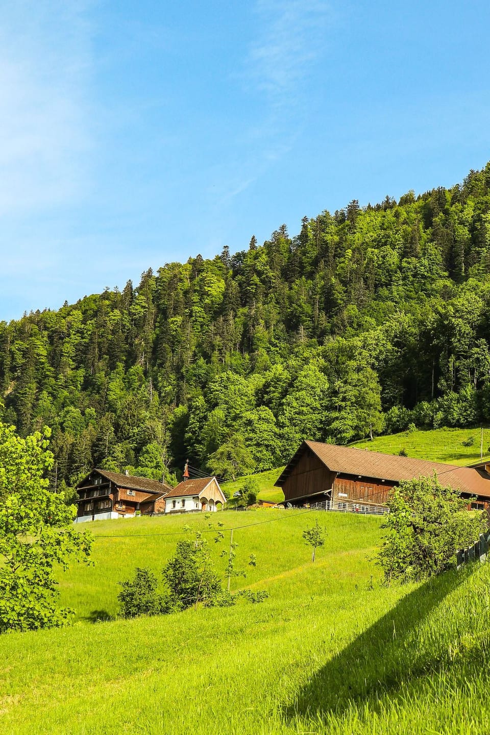 Biohof Langberg - Lauerz