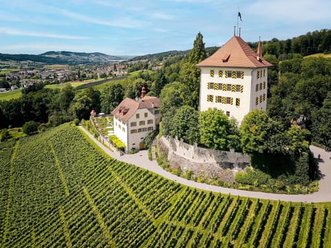 Schloss Heidegg