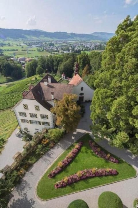 Schloss Heidegg