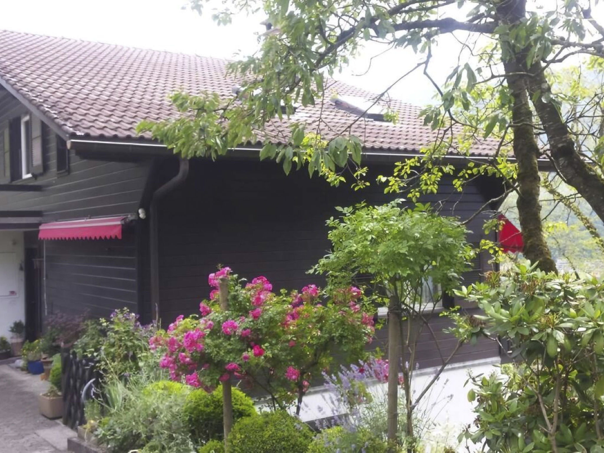 Charmantes Chalet Apartment mit Aussicht