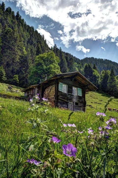 Kirschbaumhütte