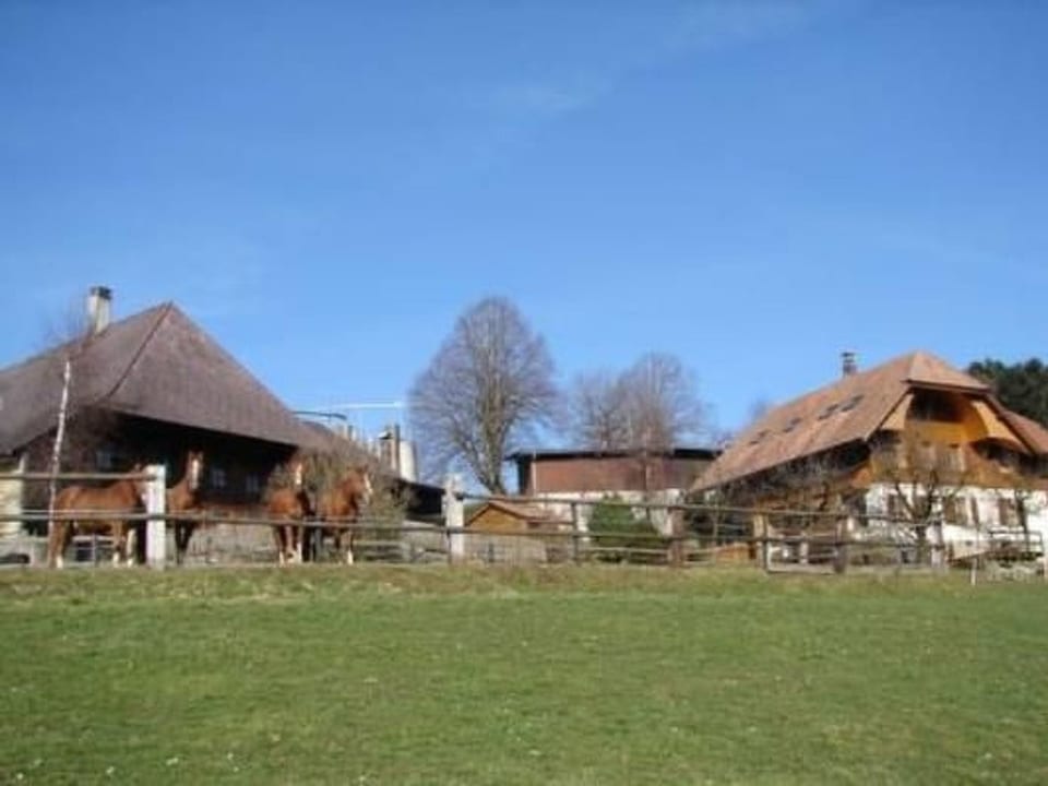 Muessache - Walterswil