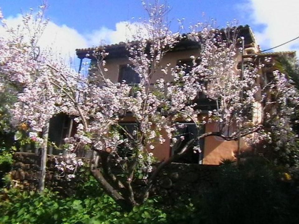 Bio Finca Los Hondos - Santa Cruz de Tenerife