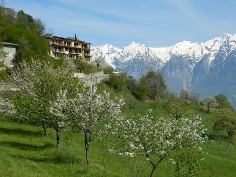 Wohnung 'Stella del Garda'