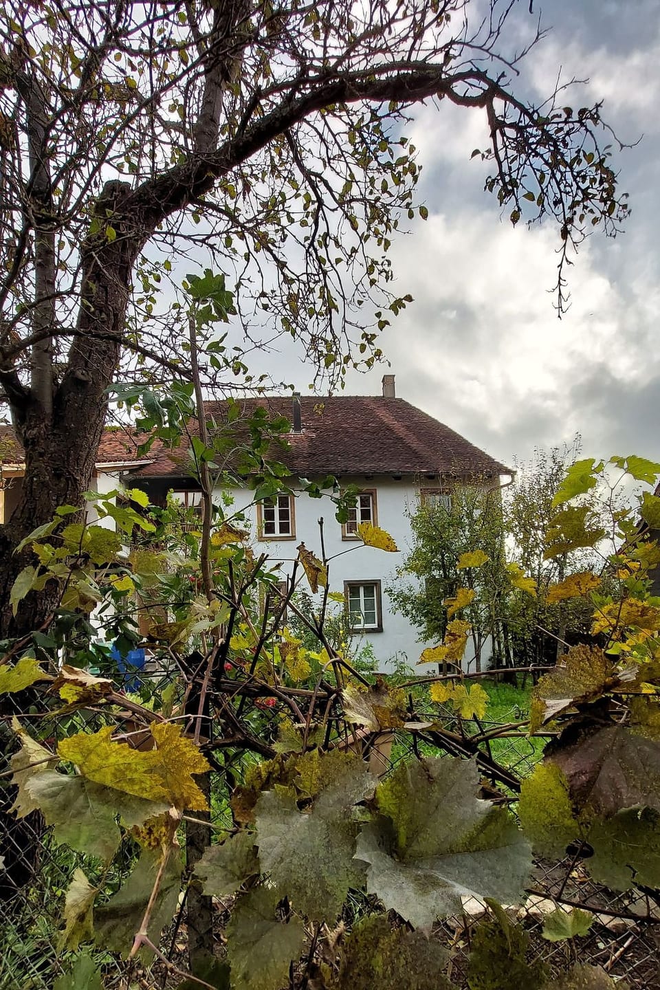 Giselas Ruheplatz - Liesberg