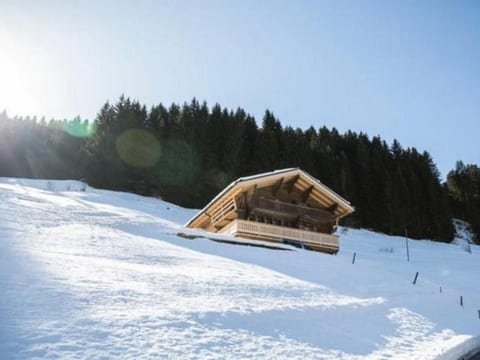 Authentisches Schweizer Alpenchalet aus dem 18.