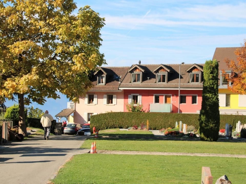 Les Narcisses, Blonay - Blonay - Saint-Légier