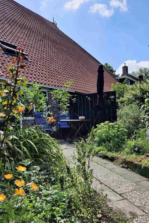 Appartement in Leeuwarden mit Privater Terrasse