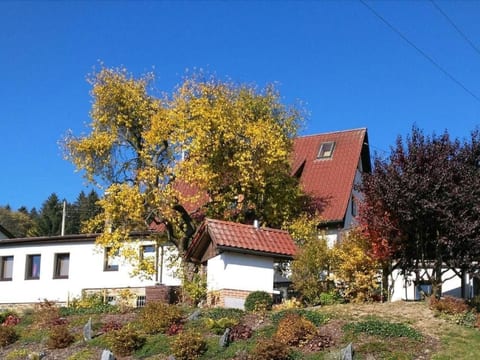 Auf der Sonnenseite