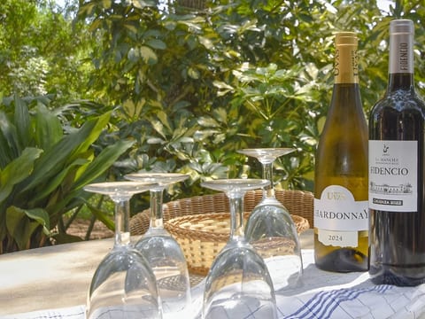 Finca mit Ruhe und Infinity-Pool