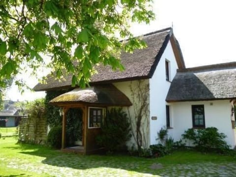 Schönes Ferienhaus mit Terrasse und Grill
