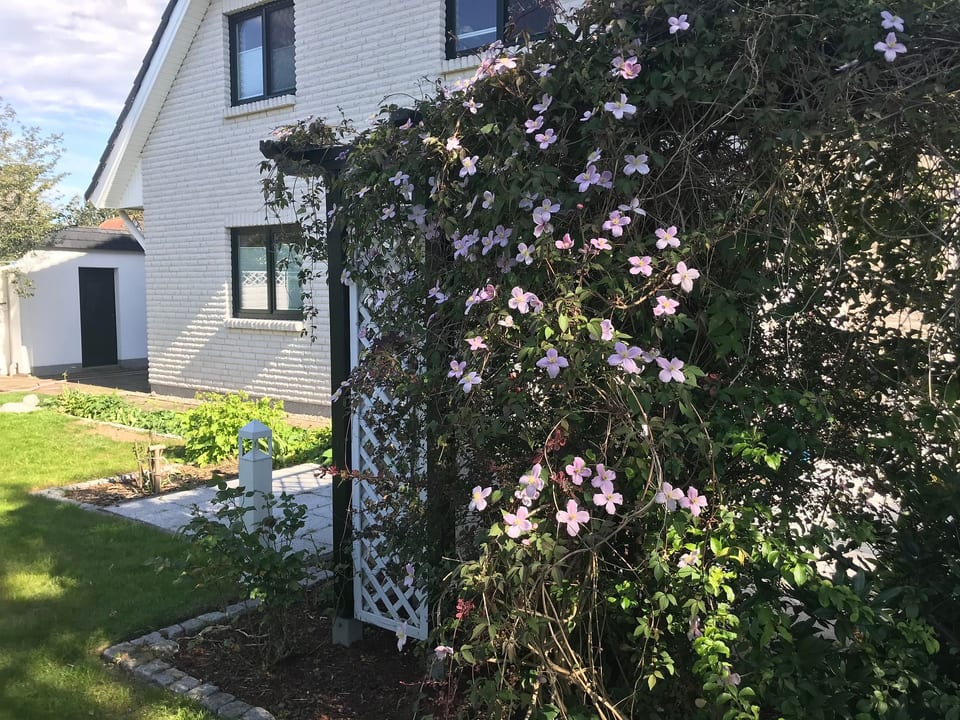 Apartamento en las afueras de la ciudad - Rostock