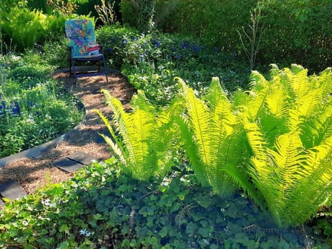 in Storkow mit Schönem Garten