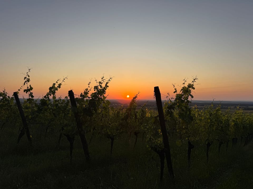 Panorama 180° - Kitzingen