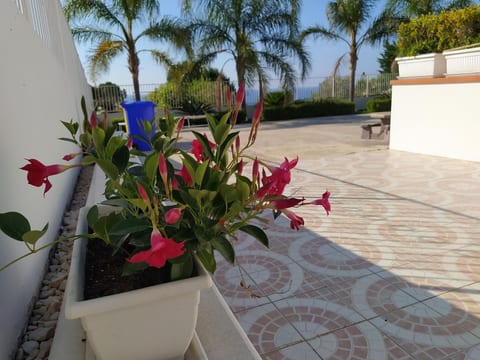 Casa Leandro
