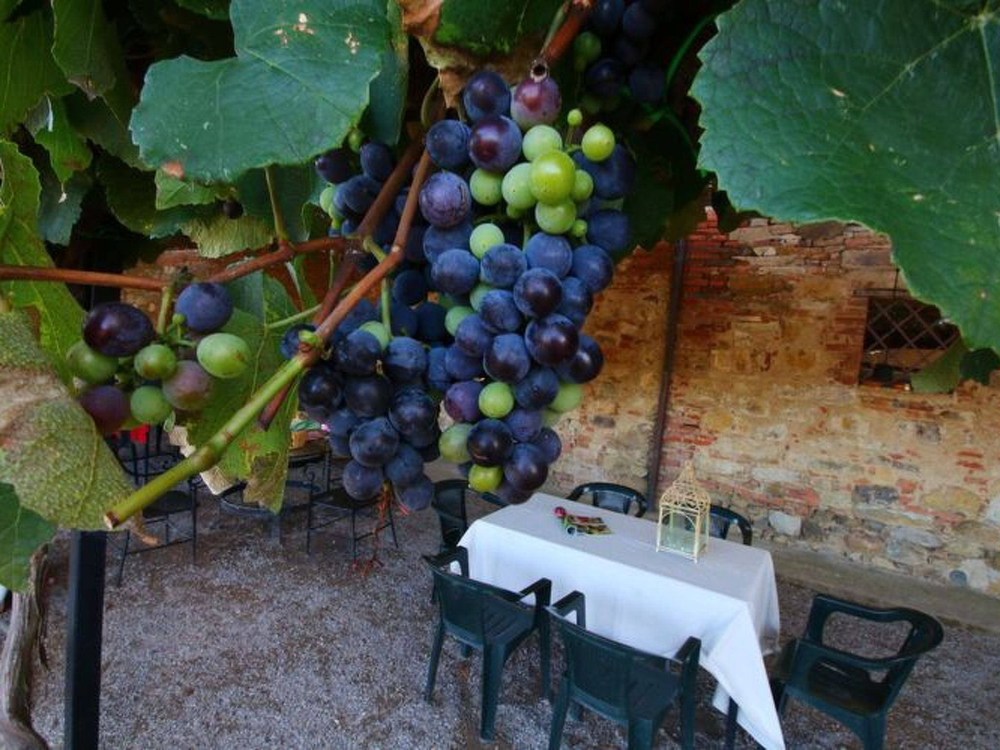 Wohnung in Castiglione Del Lago mit Terrasse, Garten und Grill