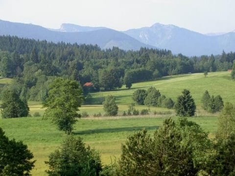 Appartement mit Terrasse