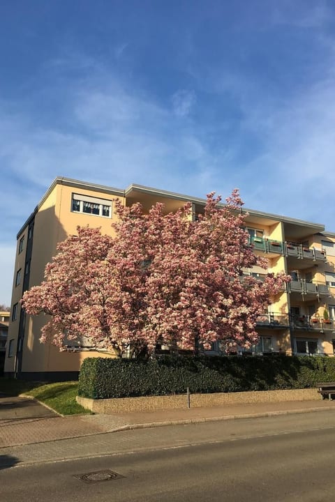 Stadtferienwohnung