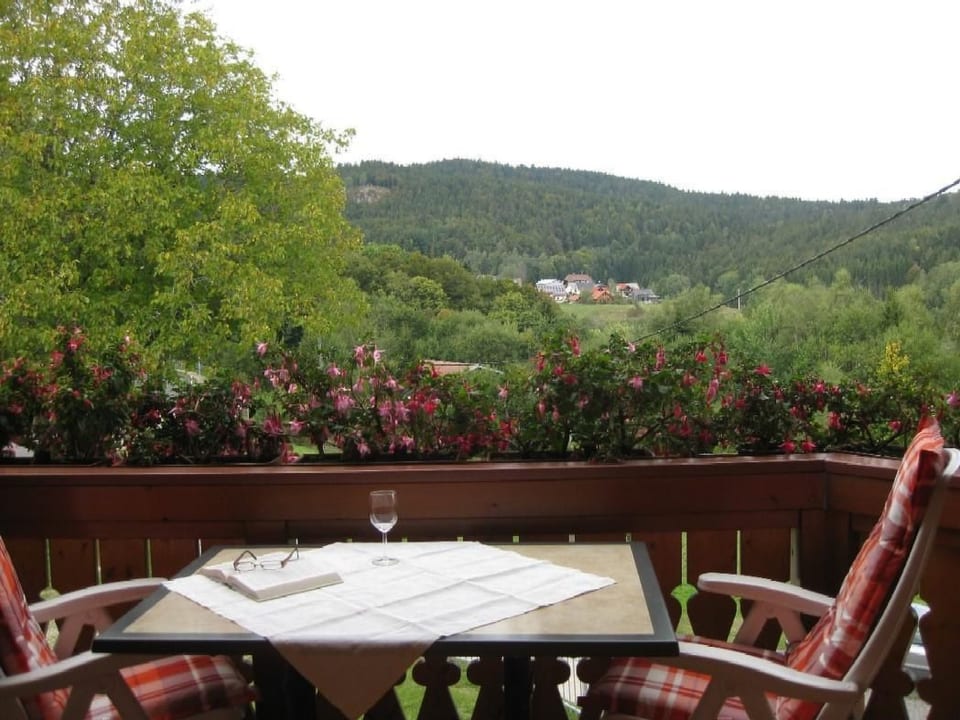Appartement in Wittenschwand - Dachsberg
