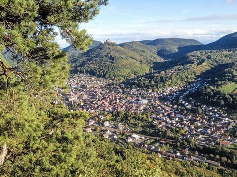 View