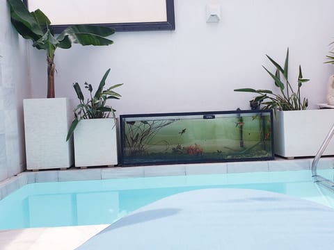 Casa Marysol mit Pool und Terrasse in Strandnähe
