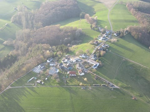 Hollig