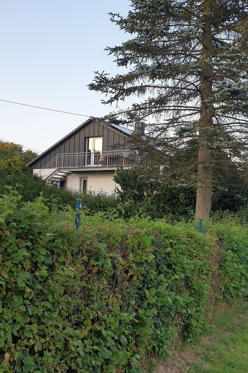 Renovierte Wohnung