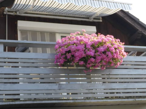 Wohnung in Heringhausen mit Grill