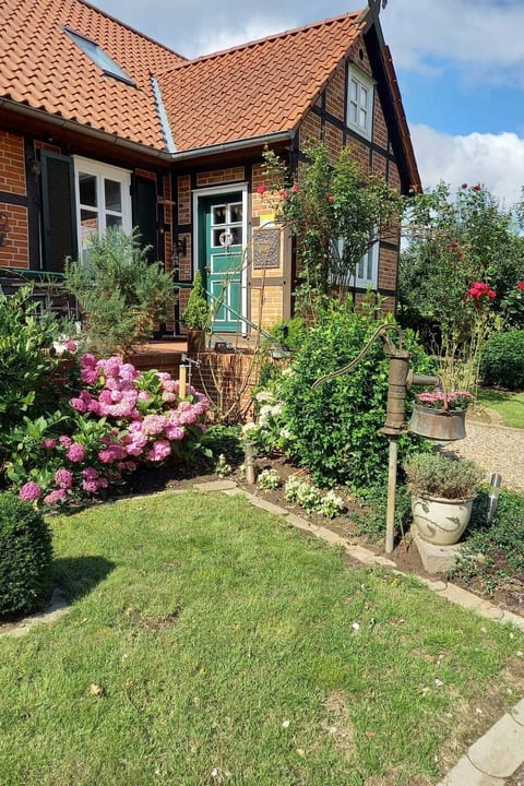 Haus Elbrose inmitten von Rosen mit Elbdeichzugang