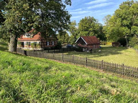 Haus Elbrose inmitten von Rosen mit Elbdeichzugang