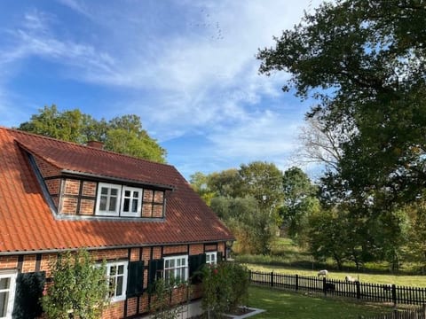 Haus Elbrose inmitten von Rosen mit Elbdeichzugang