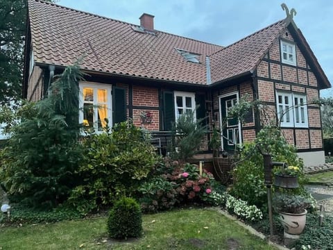 Haus Elbrose inmitten von Rosen mit Elbdeichzugang