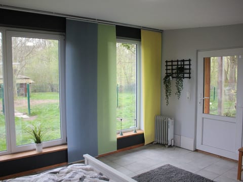 Waldrand in Ascheffel