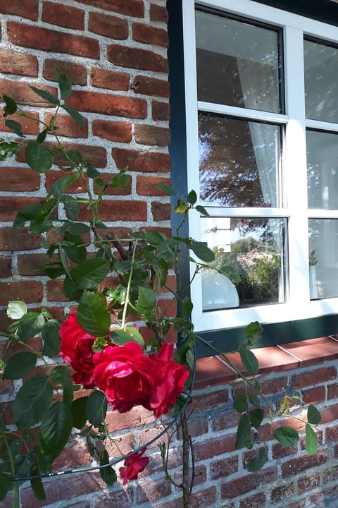 Land-Ferienhaus