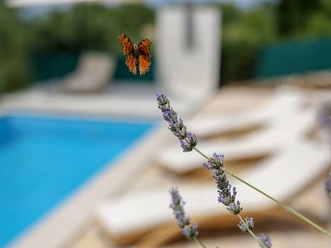 Gemütliche Villa Gabriel mit Schwimmbad