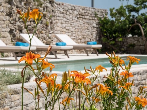 in Osor mit Privatem Pool