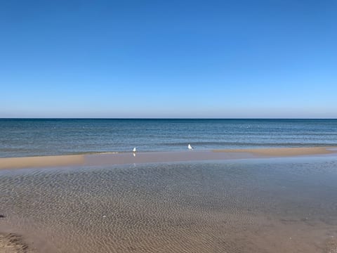 Surfnbeach