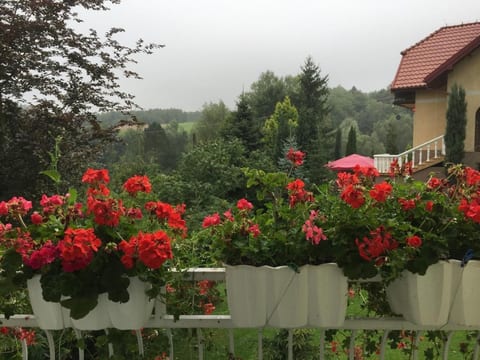 Komfortables Ferienhaus Ewa in Meszna Opacka