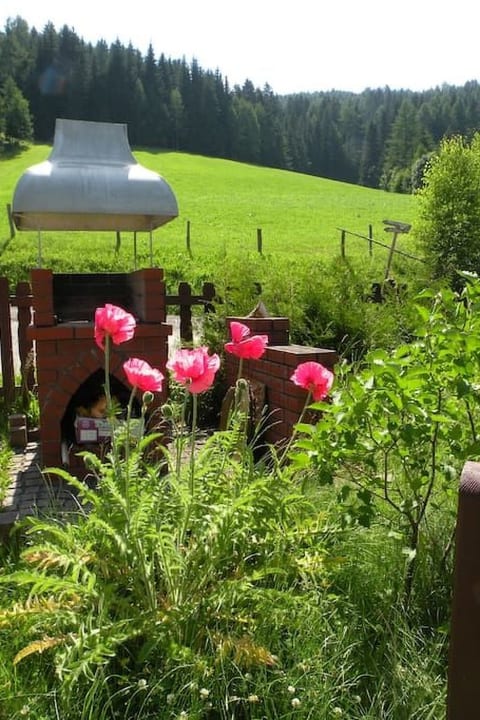 Modernes Ferienhaus in Granitzen mit Grill