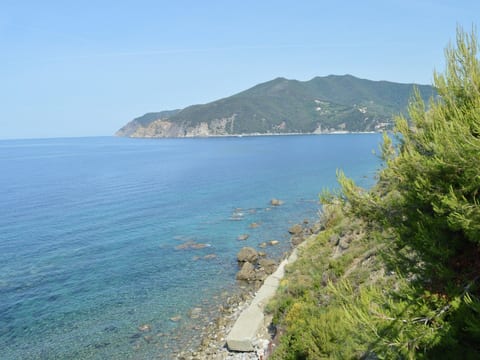 Wohnung in Moneglia mit Terrasse und Grill