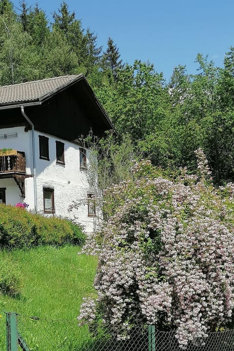 Riedbach in Mutters
