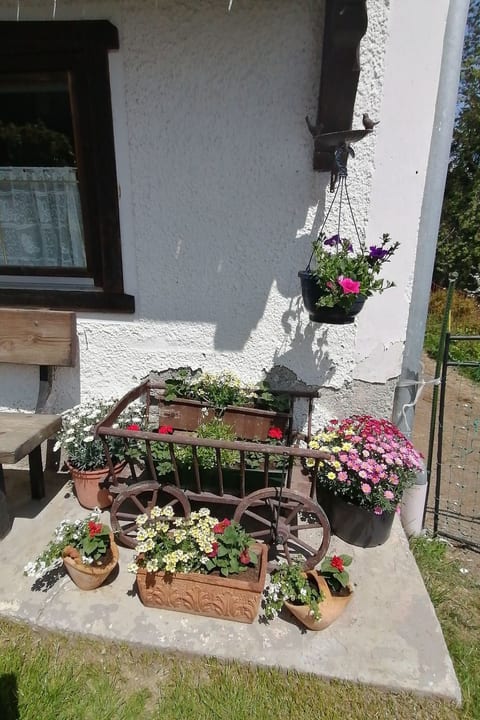 Riedbach in Mutters