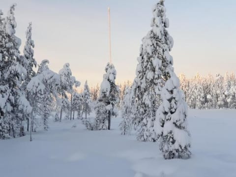 Gemütliches Ferienhaus in der Wildnis Lapplands