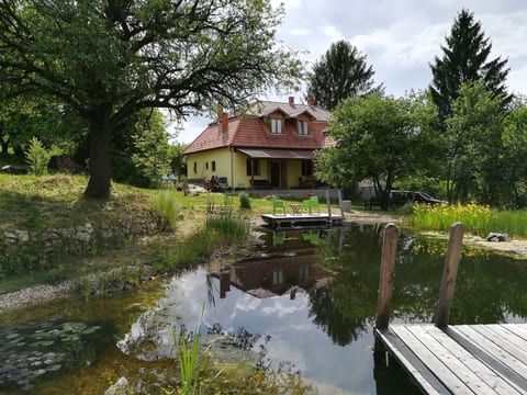 mit biologischem Schwimmteich