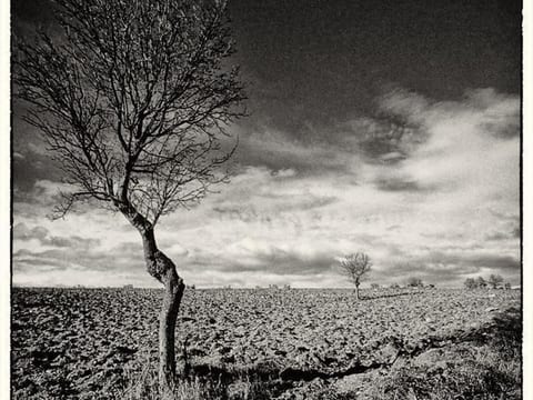 Il Melograno Panoramahaus