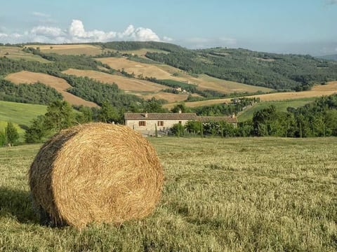 Il Mandorlo für 8 Personen