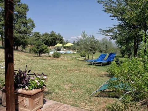 L'Ulivo