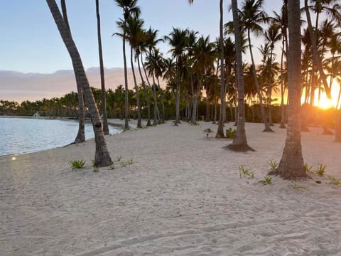 Schöne Wohnung am Strand